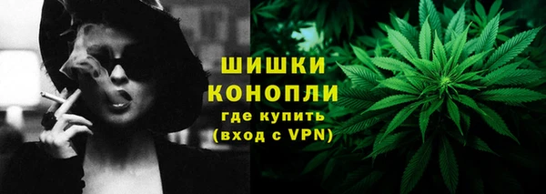 прущие крисы Белокуриха