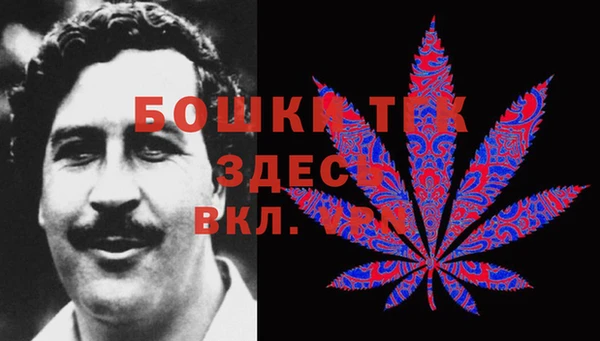 прущие крисы Белокуриха