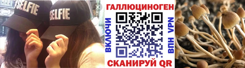 как найти закладки  Севск  Галлюциногенные грибы ЛСД 